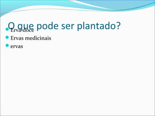 O que pode ser plantado?
Erva doce
Ervas medicinais
ervas
 