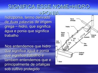 SIGNIFICA ESSE NOME=HIDRO
            +PONIA
hidroponia, termo derivado
de duas palavras de origem
grega − hidro, que significa
água e ponia que significa
trabalho

Nos entendemos que hidro
que significa aguá e ponia
que significa trabalho e
tambem entendemos que e
principalmente de ortaliças
sob cultivo protegido
 