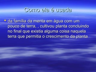 Como ela é usada
 da família da menta em água com um
  pouco de terra, , cultivou planta concluindo
  no final que existia alguma coisa naquela
  terra que permitia o crescimento da planta
 