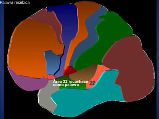 Humberto Crivellari Palavra recebida Área 22 reconhece como palavra 