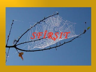 SFÎRŞIT 