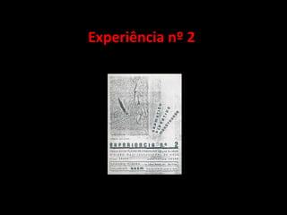 Experiência nº 2
 