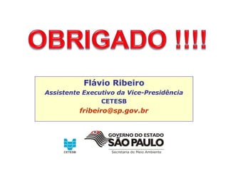 Flávio Ribeiro
Assistente Executivo da Vice-Presidência
CETESB
fribeiro@sp.gov.br
 