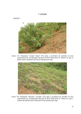 37
7. ANEXOS
ANEXO 1
Anexo 1A: Tratamento “sempre limpo” (T1) após a ocorrência do incêndio na área
experimental de recomposição florestal da PCH Santa Rosa II. Observa-se que as
plantas deste tratamento não foram afetadas pelo fogo.
Anexo 1B: Tratamento “Roçado e coroado” (T2) após a ocorrência do incêndio na área
experimental de recomposição florestal da PCH Santa Rosa II. Observa-se que a
maioria das plantas deste tratamento foram afetadas pelo fogo.
 