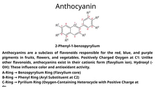 Anthocyanins are a subclass of flavonoids responsible for the red, blue, and purple
pigments in fruits, flowers, and vegetables. Positively Charged Oxygen at C1: Unlike
other flavonoids, anthocyanins exist in their cationic form (flavylium ion). Hydroxyl (-
OH): These influence color and antioxidant activity.
Anthocyanin
A-Ring Benzopyrylium Ring (Flavylium core)
→
B-Ring Phenyl Ring (Aryl Substituent at C2)
→
C-Ring Pyrilium Ring (Oxygen-Containing Heterocycle with Positive Charge at
→
2-Phenyl-1-benzopyrylium
 