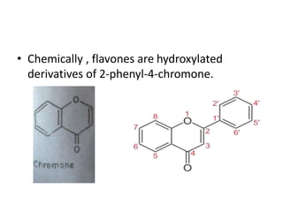 • Chemically , flavones are hydroxylated 
derivatives of 2-phenyl-4-chromone. 
 