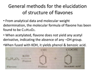 General methods for the elucidation 
of structure of flavones 
• From analytical data and molecular weight 
determination, the molecular formula of flavone has been 
found to be C15H10O2. 
• When acetylated, flavone does not yield any acetyl 
derivative, indicating the absence of any –OH group. 
•When fused with KOH, it yields phenol & benzoic acid. 
 