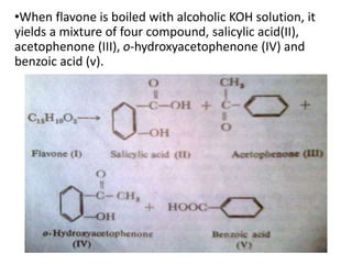 •When flavone is boiled with alcoholic KOH solution, it 
yields a mixture of four compound, salicylic acid(II), 
acetophenone (III), o-hydroxyacetophenone (IV) and 
benzoic acid (v). 
 