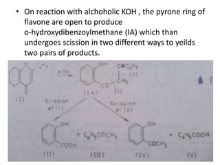• On reaction with alchoholic KOH , the pyrone ring of 
flavone are open to produce 
o-hydroxydibenzoylmethane (IA) which than 
undergoes scission in two different ways to yeilds 
two pairs of products. 
 