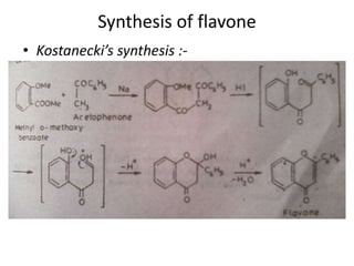 Synthesis of flavone 
• Kostanecki’s synthesis :- 
 