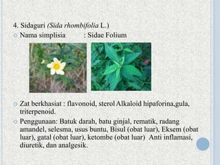 4. Sidaguri (Sida rhombifolia L.)
 Nama simplisia : Sidae Folium
 Zat berkhasiat : flavonoid, sterolAlkaloid hipaforina,gula,
triterpenoid.
 Penggunaan: Batuk darah, batu ginjal, rematik, radang
amandel, selesma, usus buntu, Bisul (obat luar), Eksem (obat
luar), gatal (obat luar), ketombe (obat luar) Anti inflamasi,
diuretik, dan analgesik.
 