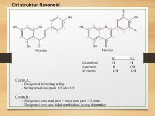 Flavonoid kimia bahan alam pendidikan kimia | PPT