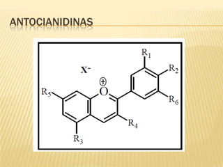 ANTOCIANIDINAS
 
