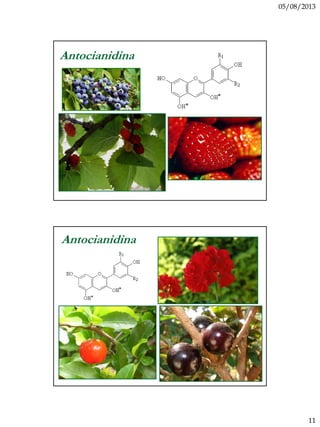 05/08/2013
11
Antocianidina
Antocianidina
 