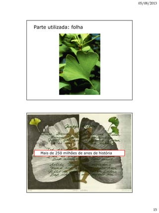 05/08/2013
15
Parte utilizada: folha
Mais de 250 milhões de anos de história
 