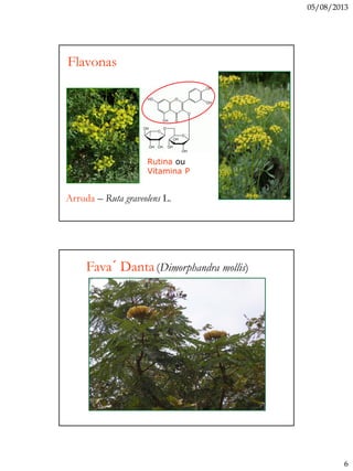 05/08/2013
6
Arruda – Ruta graveolens L.
Rutina ou
Vitamina P
Flavonas
Fava´ Danta(Dimorphandra mollis)
 