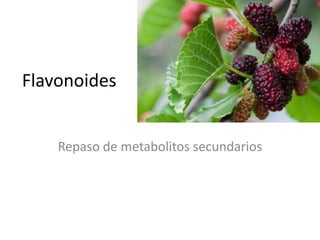 Flavonoides
Repaso de metabolitos secundarios
 