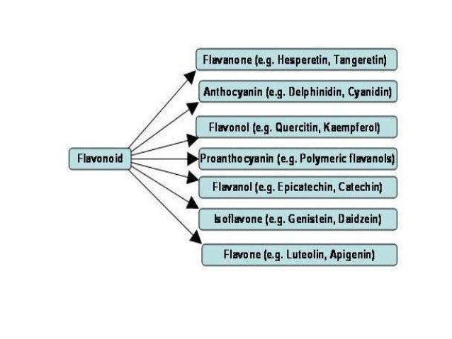 download a categorification of finite dimensional