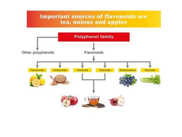 Foods High In Flavonoids Foods High In Flavonoids