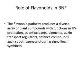 Role of Flavonoids in BNF
• The flavonoid pathway produces a diverse
array of plant compounds with functions in UV
protection, as antioxidants, pigments, auxin
transport regulators, defence compounds
against pathogens and during signalling in
symbiosis.
 