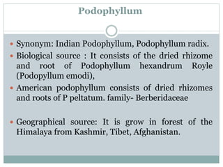 Podophyllum
 Synonym: Indian Podophyllum, Podophyllum radix.
 Biological source : It consists of the dried rhizome
and root of Podophyllum hexandrum Royle
(Podopyllum emodi),
 American podophyllum consists of dried rhizomes
and roots of P peltatum. family- Berberidaceae
 Geographical source: It is grow in forest of the
Himalaya from Kashmir, Tibet, Afghanistan.
 