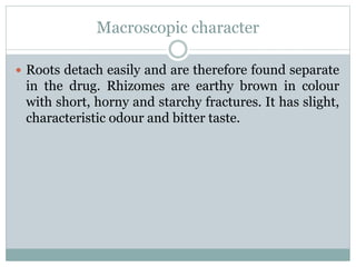 Macroscopic character
 Roots detach easily and are therefore found separate
in the drug. Rhizomes are earthy brown in colour
with short, horny and starchy fractures. It has slight,
characteristic odour and bitter taste.
 
