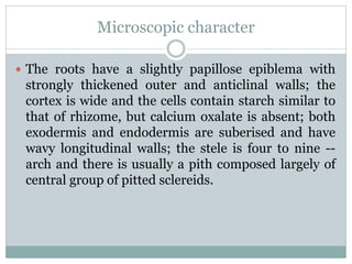 Microscopic character
 The roots have a slightly papillose epiblema with
strongly thickened outer and anticlinal walls; the
cortex is wide and the cells contain starch similar to
that of rhizome, but calcium oxalate is absent; both
exodermis and endodermis are suberised and have
wavy longitudinal walls; the stele is four to nine --
arch and there is usually a pith composed largely of
central group of pitted sclereids.
 