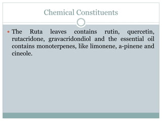 Chemical Constituents
 The Ruta leaves contains rutin, quercetin,
rutacridone, gravacridondiol and the essential oil
contains monoterpenes, like limonene, a-pinene and
cineole.
 