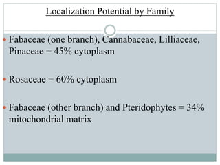 Localization Potential by Family
 Fabaceae (one branch), Cannabaceae, Lilliaceae,
Pinaceae = 45% cytoplasm
 Rosaceae = 60% cytoplasm
 Fabaceae (other branch) and Pteridophytes = 34%
mitochondrial matrix
 