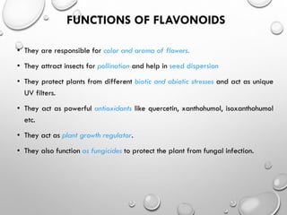 FUNCTIONS OF FLAVONOIDS
• They are responsible for color and aroma of flowers.
• They attract insects for pollination and help in seed dispersion
• They protect plants from different biotic and abiotic stresses and act as unique
UV filters.
• They act as powerful antioxidants like quercetin, xanthohumol, isoxanthohumol
etc.
• They act as plant growth regulator.
• They also function as fungicides to protect the plant from fungal infection.
 