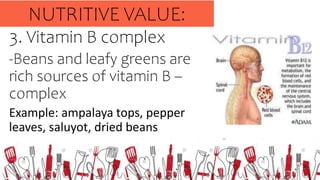 3. Vitamin B complex
-Beans and leafy greens are
rich sources of vitamin B –
complex
Example: ampalaya tops, pepper
leaves, saluyot, dried beans
NUTRITIVE VALUE:
 