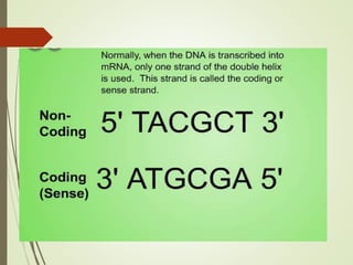 FLAVR SAVR tomato.pptx