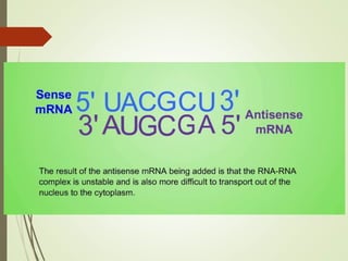 FLAVR SAVR tomato.pptx