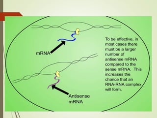 FLAVR SAVR tomato.pptx