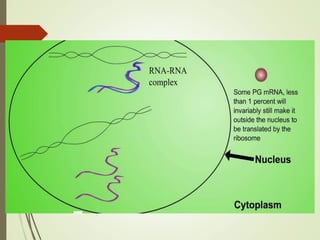 FLAVR SAVR tomato.pptx