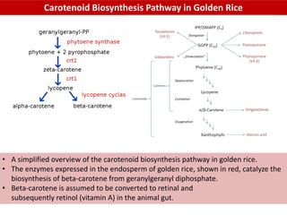 Flavr_savr,_golden_rice,_Bt_cotton,_Bt_brinjal,_round_up[1].pdf