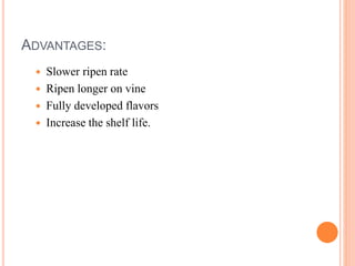 ADVANTAGES:
 Slower ripen rate
 Ripen longer on vine
 Fully developed flavors
 Increase the shelf life.
 
