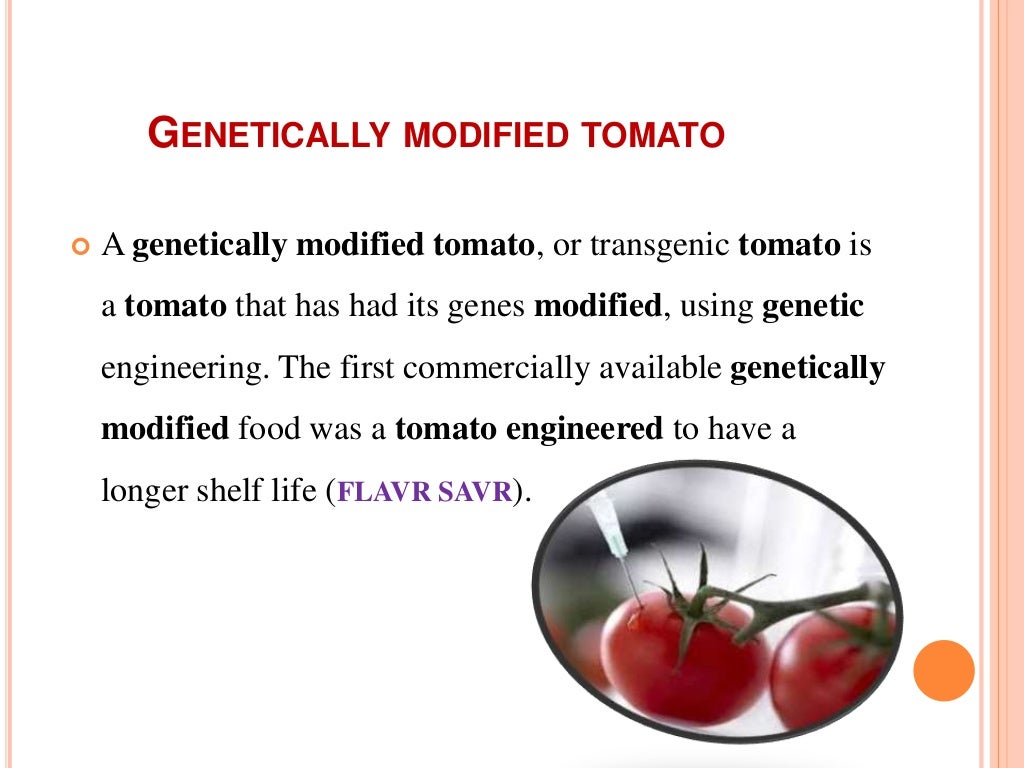 Flavr savr tomato.ppt