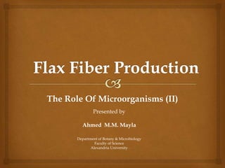 The Role Of Microorganisms (II)
Presented by
Ahmed M.M. Mayla
Department of Botany & Microbiology
Faculty of Science
Alexandria University
 