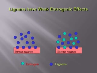 Estrogen Lignans
 