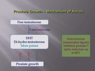 Free testosterone
DHT
Di-hydro-testosterone
More potent
Prostate growth
Enterolactone
(mammalian lignan)
inhibited prostate 5
alpha reductase up
to 80%
5 alpha-reductase
 