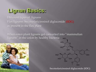 Different types of lignans
Flax lignans: Secoisolariciresinol diglucoside (SDG)
as present in the flax plant
When eaten plant lignans get converted into “mammalian
lignans” in the colon by healthy bacteria
Secoisolariciresinol diglucoside (SDG)
 