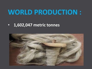 WORLD PRODUCTION :
• 1,602,047 metric tonnes
 