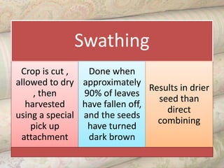 Swathing
Crop is cut ,
allowed to dry
, then
harvested
using a special
pick up
attachment
Done when
approximately
90% of leaves
have fallen off,
and the seeds
have turned
dark brown
Results in drier
seed than
direct
combining
 