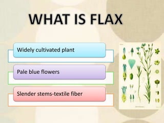 Widely cultivated plant
Pale blue flowers
Slender stems-textile fiber
 