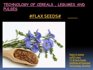 TECHNOLOGY OF CEREALS , LEGUMES AND
PULSES
#FLAX SEEDS#
Rajan D Jaykar
11FET 1015
TY BTech Foods
Institute of Chemical
Technology, Mumbai
 