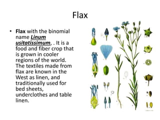 Flax yarn and fabrics