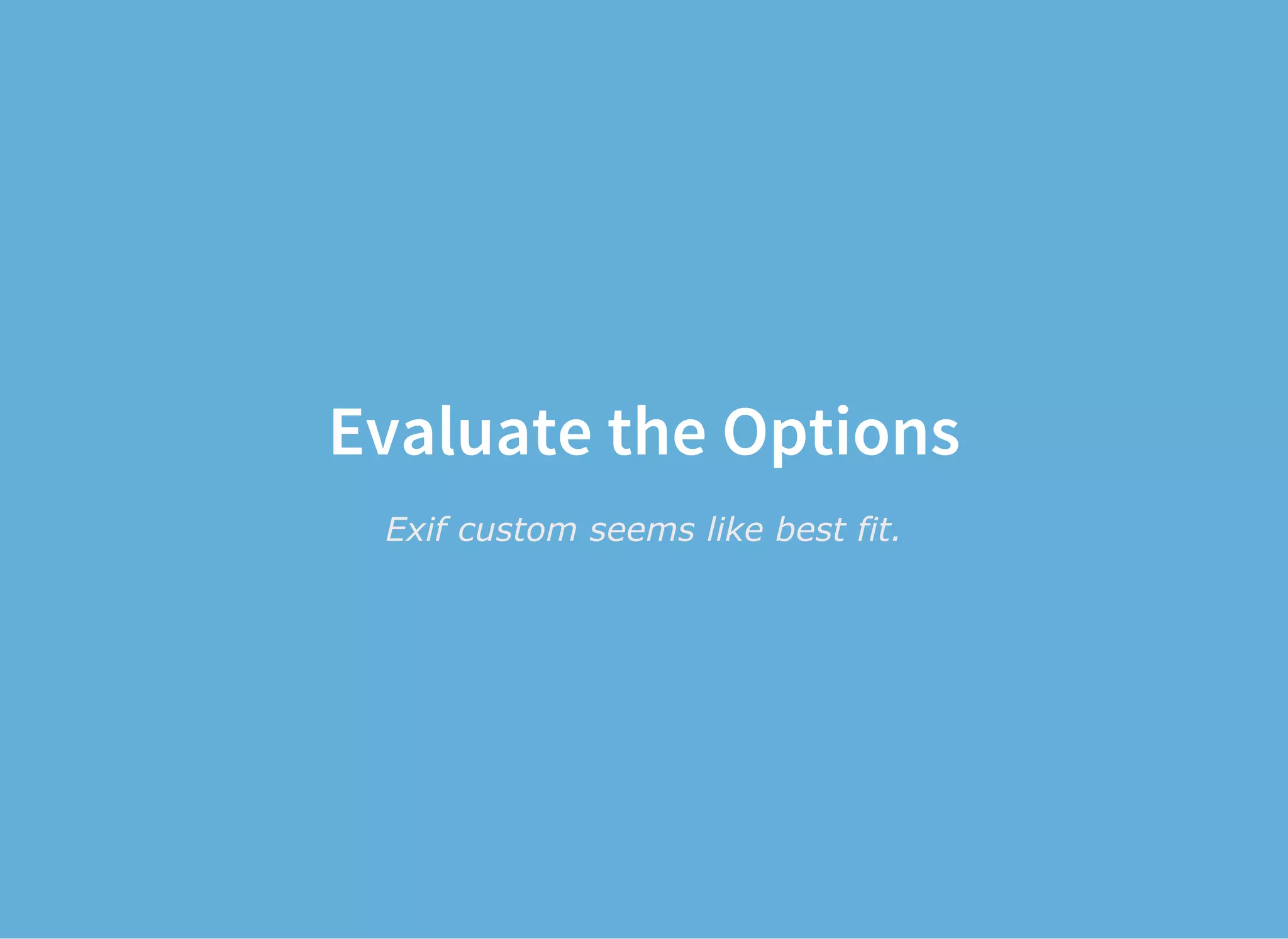 Evaluate the Options
Exif custom seems like best fit.
 