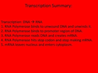 Transcription Summary:


Transcription: DNA  RNA
1. RNA Polymerase binds to unwound DNA and unwinds it.
2. RNA Polymerase binds to promoter region of DNA.
3. RNA Polymerase reads DNA and creates mRNA.
4. RNA Polymerase hits stop codon and stop making mRNA.
5. mRNA leaves nucleus and enters cytoplasm.
 