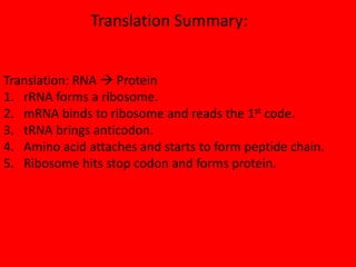 Translation Summary:


Translation: RNA  Protein
1. rRNA forms a ribosome.
2. mRNA binds to ribosome and reads the 1st code.
3. tRNA brings anticodon.
4. Amino acid attaches and starts to form peptide chain.
5. Ribosome hits stop codon and forms protein.
 